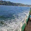 A0塞德·乌漆玛黑的头像-博士钣金 - www.bsbanjin.com