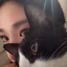 伦敦求租