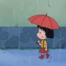 紹  ࿆ ࿆    ࿆ ࿆☄