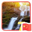 蒲先生的头像