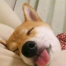 通知