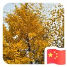 0wangqi0-风行者社区