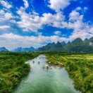 沈金华