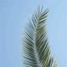 国国-咖脉互联