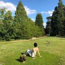 Tyler Court转租&房东直租