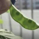 朱海博18073800585