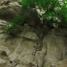 wx_为爱坚强34