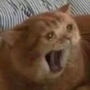 Byron Central转租&房东直租