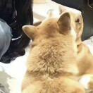 积极向上的小陈