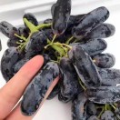 好人一生平安🍏，15061341789