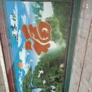 真心换真情15703