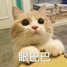 dome apartment转租