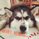 卢公瑞
