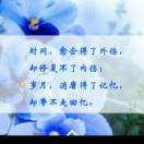 郑先生的头像