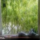 周先生的头像