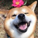 郭女士的头像
