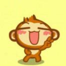 咱们滴猴哥的头像-WordPress主题模板-zibll子比主题