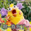 小怪