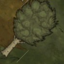 buely's Avatar