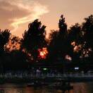 季青LLEX的头像-拟人圈