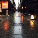 会飞的鱼