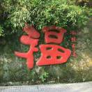 CPA收量