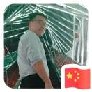 裴偉