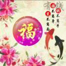 暖洋洋的萌娃在摸鱼的头像