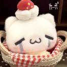 蔡怡倩