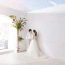 牛顿问我一加一