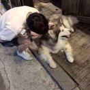 用户39148431的头像 