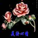 影