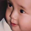 在森林麋了鹿－