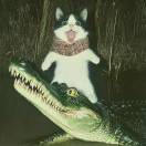 龙卷风摧毁停车场