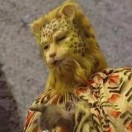 王先生的头像