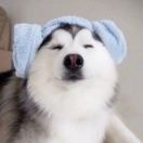 用户头像