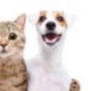 安心
