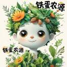 甘肃铁蛋农家药材🌱