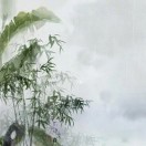 问之的头像