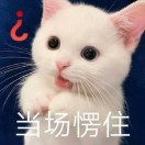 NianNian-棉花糖网络安全资源站
