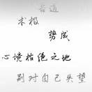 枫雨枫桦