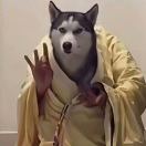 丁先生的头像