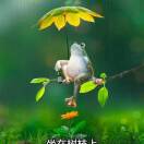 wx_大浪淘沙25