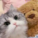 氟西汀的头像-博士钣金 - www.bsbanjin.com