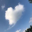 用户96516698的头像-博士钣金 - www.bsbanjin.com