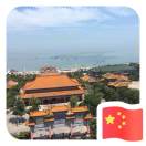 向日葵 的微笑的钢琴谱