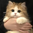 冉林敏