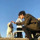 重生之我在地球卖海鲜