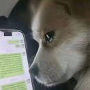 [等我先说]   再见面时 我们拥抱吧 在冬天 在下雪