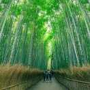 乒乓球的头像-博士钣金 - www.bsbanjin.com